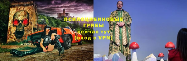 шишки Беломорск