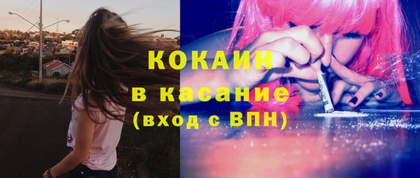 шишки Беломорск